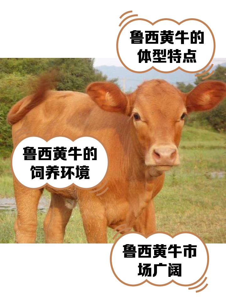昆明最新医保取现黄牛方法分析(最方便真实的昆明医保取现黄牛怎么取方法)